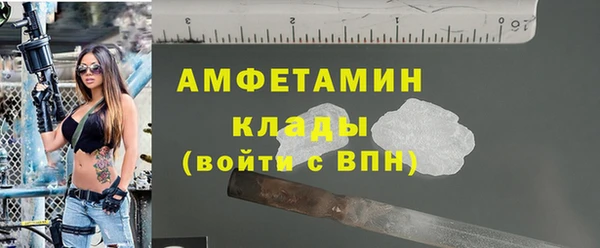 гидра Верея