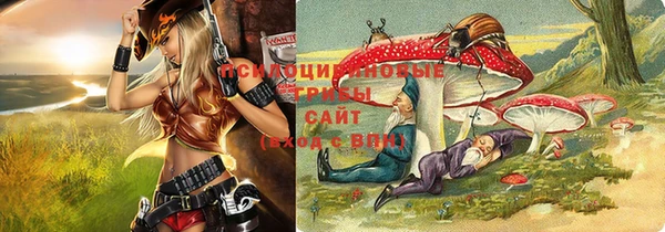 спайс Волоколамск