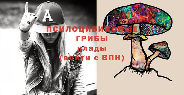 гидра Верея