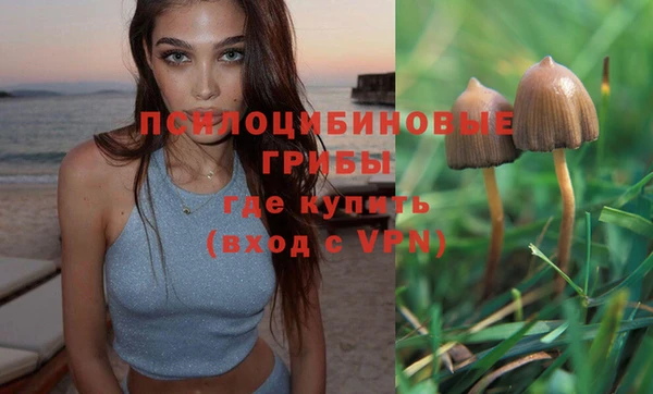 гидра Верея