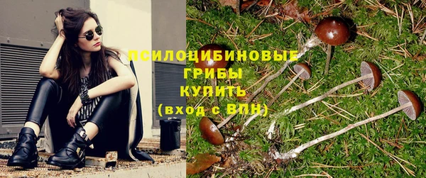 спайс Волоколамск